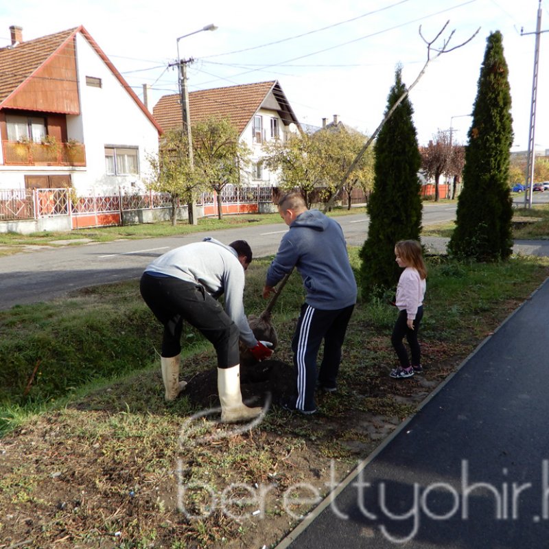 Közösségi faültetés Berettyóújfaluban 60